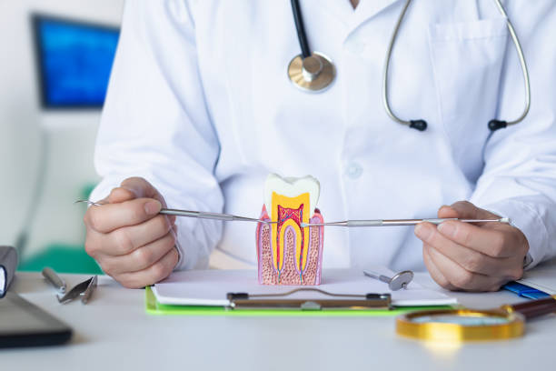 Best Emergency Dentist for Knocked-Out Tooth in Harbor Isle, NY